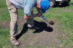 GOPHER-HOLE